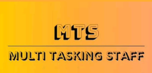 mts stands for
